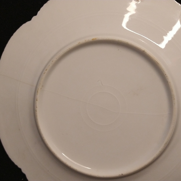 Old china plates Flora print - Picture 8 of 9